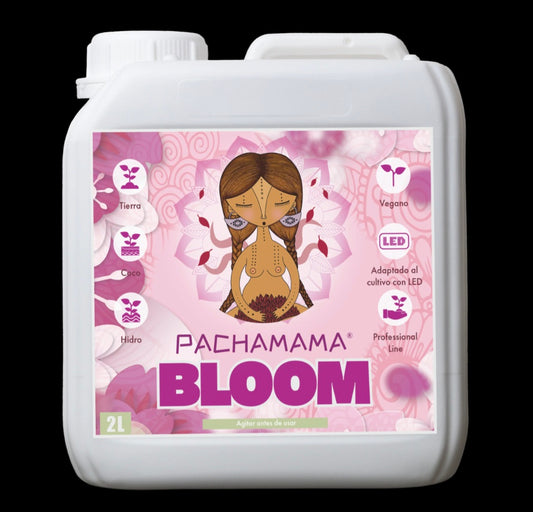 PACHAMAMA BLOOM BASE LIQUIDA